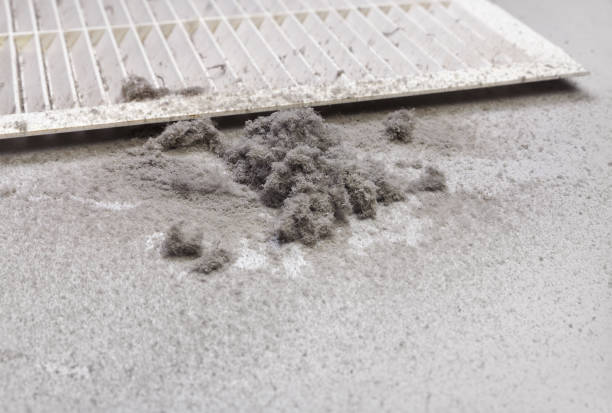 Best Air Duct Mold Removal  in Bardmoor, FL