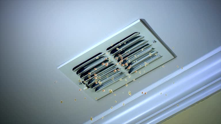 Best Air Duct Cleaning Near Me  in Bardmoor, FL