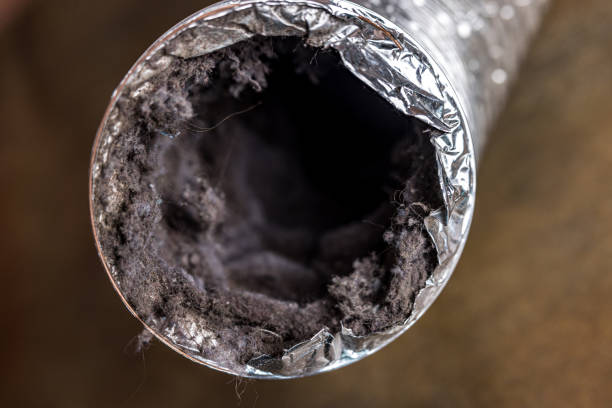 Best Air Duct Cleaning Company Near Me  in Bardmoor, FL