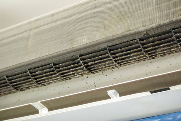 Best HVAC Air Duct Cleaning  in Bardmoor, FL